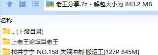 福利姬 桜井宁宁 NO.158 失眠冲剂 搬运工【127P+845M】
