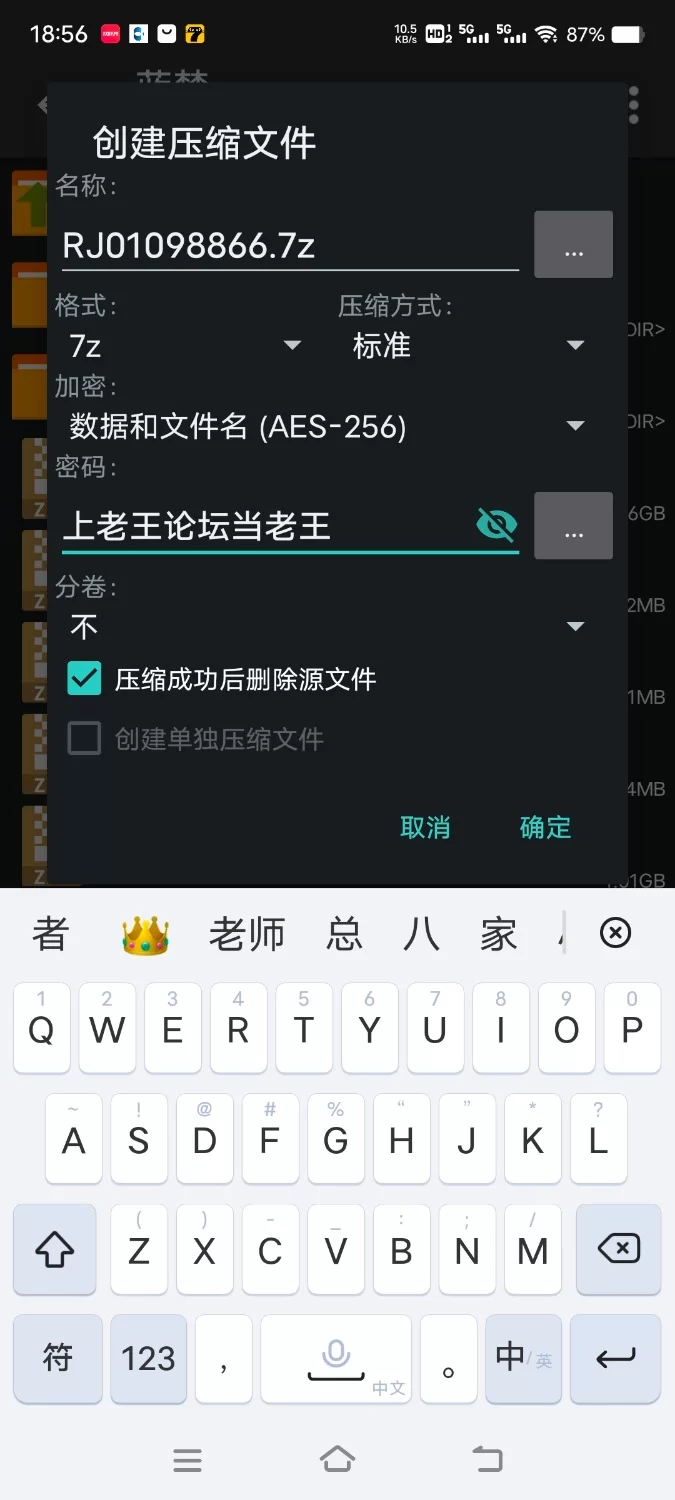 ASMR [简中]小弟弟，你是姐姐专属的恋人奴隶。被海对面的漂亮大姐姐当成她的弟弟对。【6V+1.7G】
