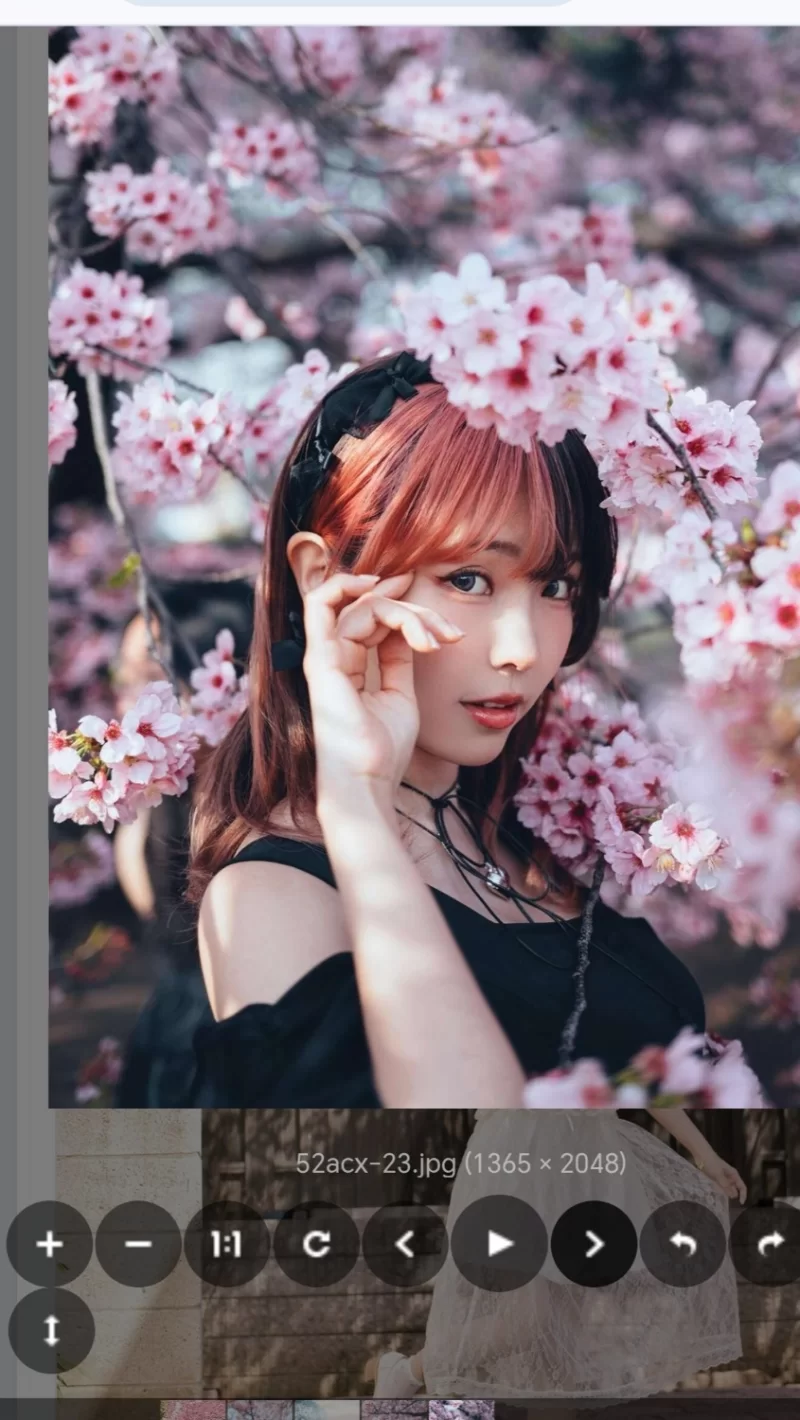 Cosplay ElyEE子Vol.1552025年04月订阅(4套)【92+312mb】