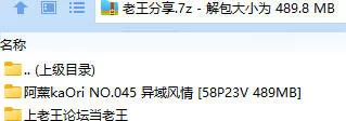 福利姬 阿薰kaOri NO.045 异域风情【58P23V+489MB】