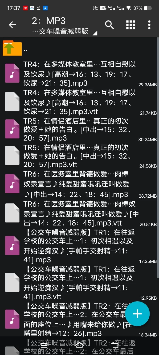 性爱录音 [简体中文版]公交车上袭来的逆痴汉高中生前辈、狂妄的淫乱小恶魔变成肉棒奴隶报恩【6V+1.4G】