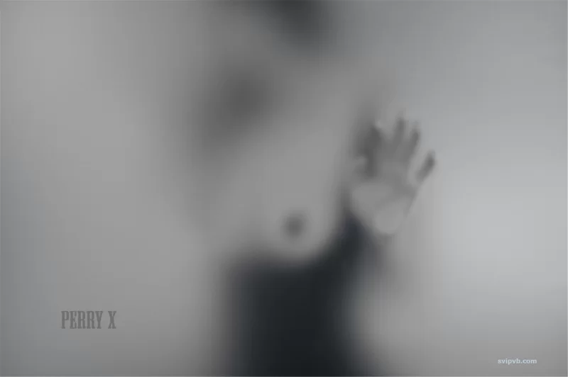 国产模特 最新著名推特摄影师perry.x作品集流出 极品美女 极限诱惑【164p+560mb】