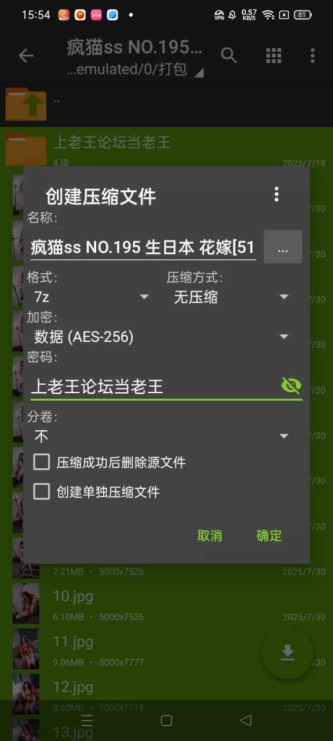 Cosplay 疯猫ss NO.195 生日本 花嫁【51P+375M】