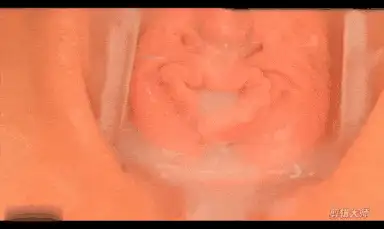 自拍 [内窥-美穴-阴蒂-子宫口]假阳具内置摄像头带你窥视阴中景【1+380m】