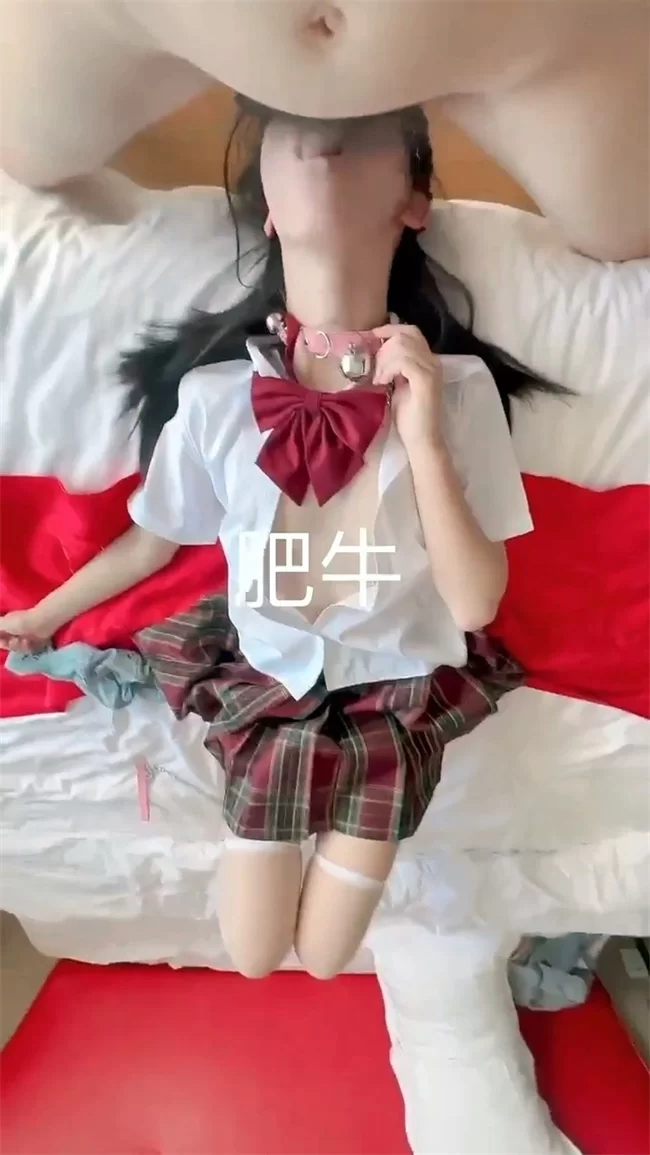 合法萝莉 肥牛子 – 调教淫母狗JK制服萝莉【7P87V+2.27G】