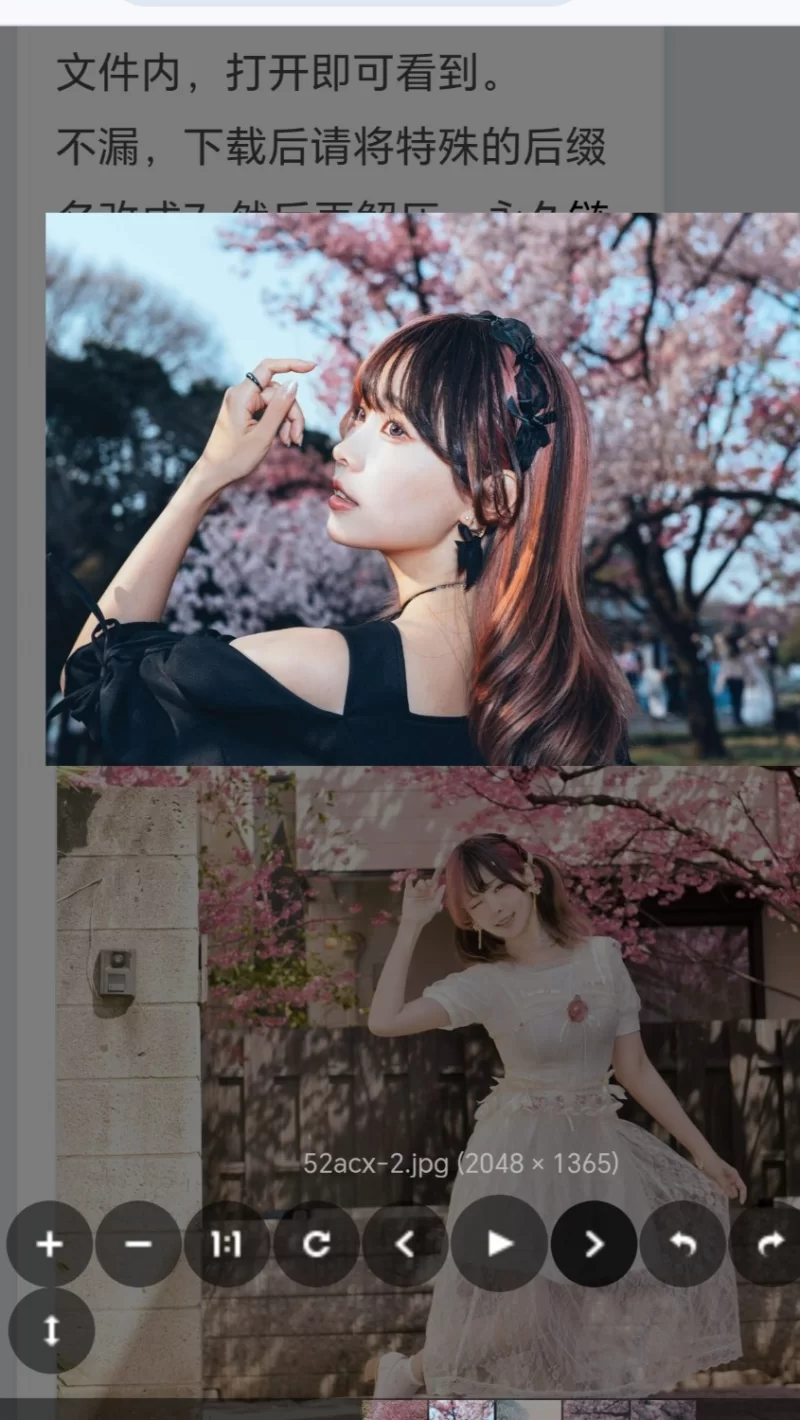 Cosplay ElyEE子Vol.1552025年04月订阅(4套)【92+312mb】