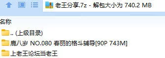 福利姬 鹿八岁 NO.080 春丽的格斗辅导【90P+743M】