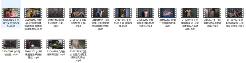 SM [国内女奴]王丽 束缚 肛塞 肛钩 滴蜡 阴道扩张 8小时【15v+13.1g】