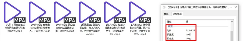 自拍 最新流出，硬核户外真实勾引骚女[性感小猫咪]33G付费13，路边大胆自慰，街上人来人?【多p+v+1.56G】