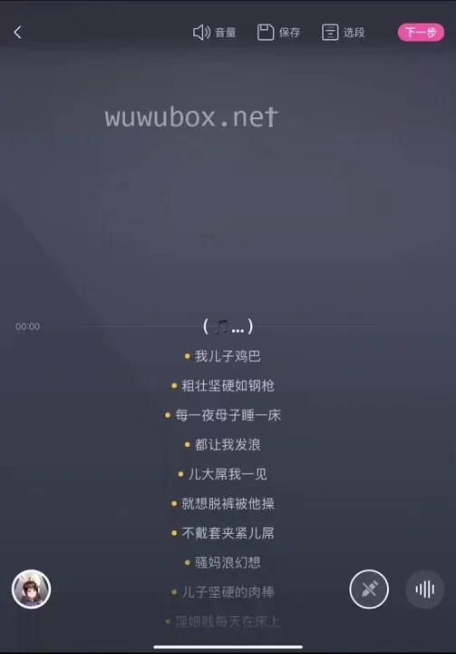 合集类 淫词艳曲小黄歌-AI音乐视频-视听版（带歌词）【363V+32.95G】