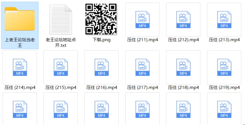 自拍 肥猪、黑鬼拱白菜，压在身下第八期【30V+1.19G】