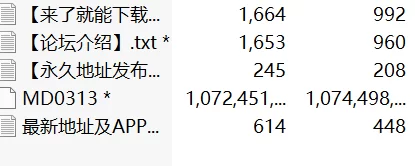 有剧情的 麻豆传媒MD-0313 流浪汉爆干母女庆元宵 强上母女花【1v+1.00g】