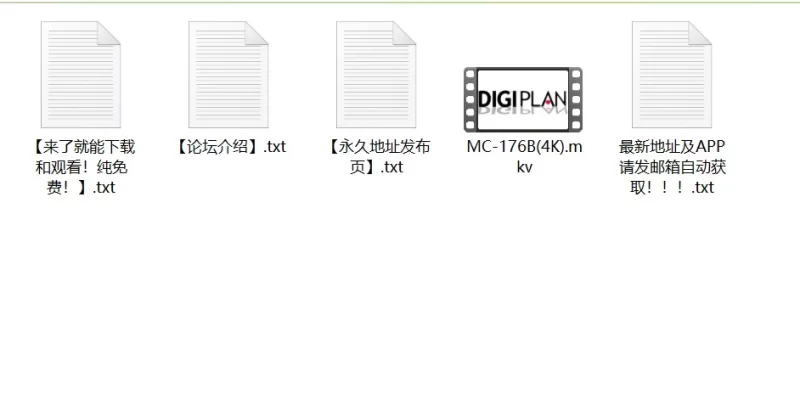 高颜值 DIGIPLAN[4K] MC-176B 紺野愛梨 写真【1v+19G】