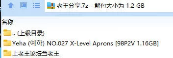 福利姬 Yeha (예하) NO.027 X-Level Aprons【98P2V+1.16GB】
