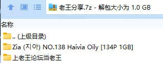 福利姬 Zia (지아) NO.138 Haivia Oily【134P+1GB】