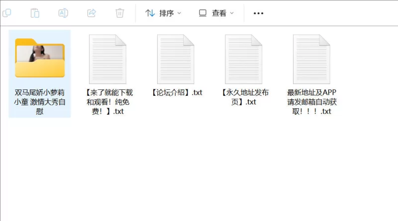 国产主播 超高颜值双马尾娇小萝莉小童 极品身材激情大秀自慰【1V+905M】