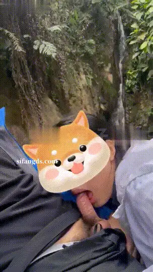 美女御姐 6月新流，推特[HL]千人斩约炮大神，学生少妇嫩模无一【94v+3.17g】
