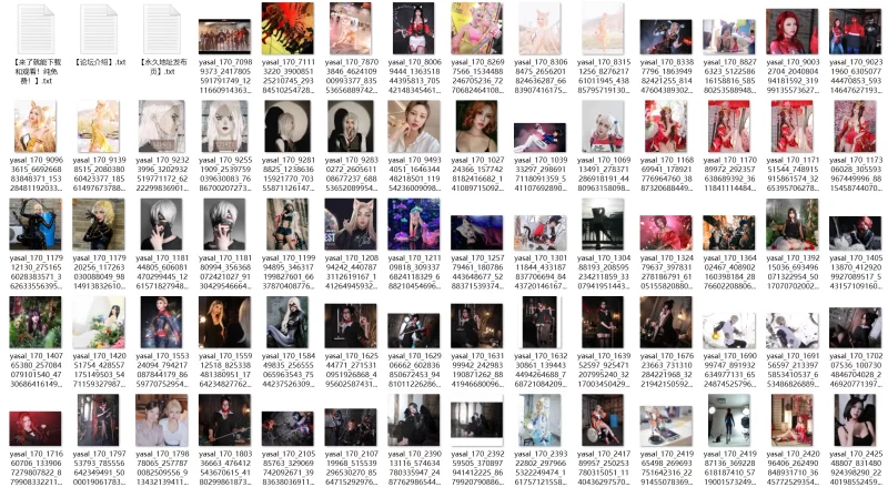 Bilibili World 2025 Coser@야살  Yasal 多平台媒体合集【1000+PNV+1.34GB】