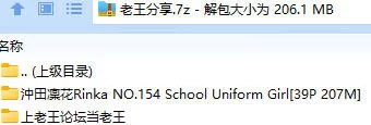 福利姬 沖田凜花Rinka NO.154 School Uniform Girl【39P+207M】