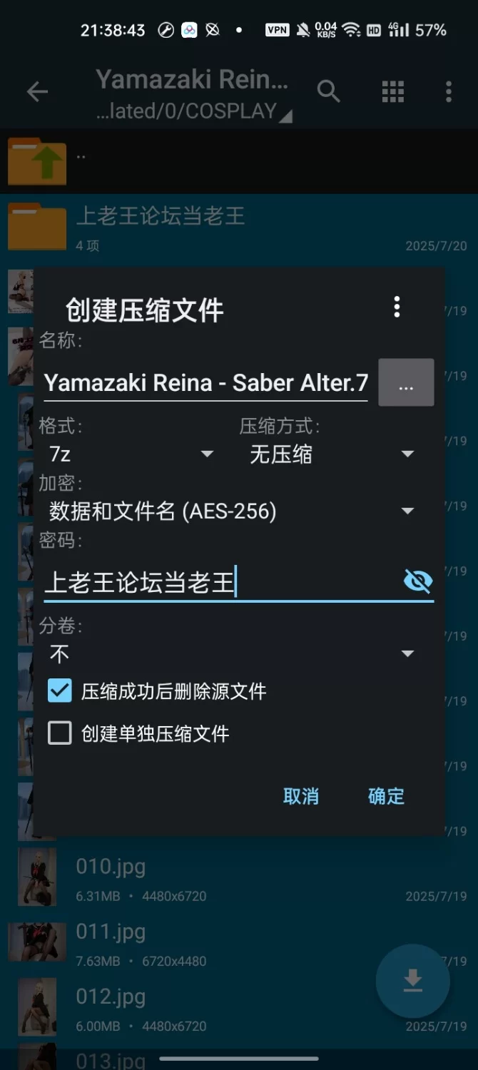 日韩模特 Yamazaki Reina - Saber Alter【134P+742M】