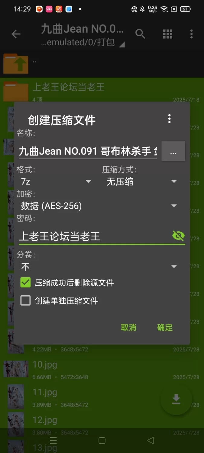 福利姬 九曲Jean NO.091 哥布林杀手 剑之圣女[40P 168M]【40P+168M】