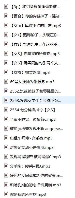 ASMR B站南晚姐姐中文音声最新剧情小合集【29A+1G】