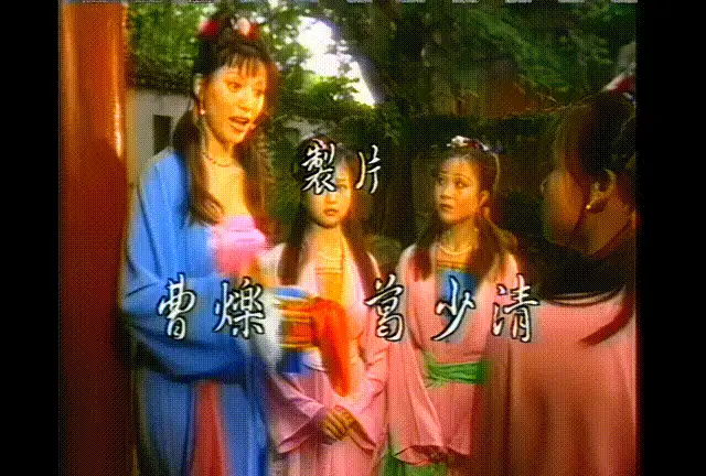 港台 香港3级连续剧系列~唐伯虎八美图2002（16集全） 4k修复版【8V+63G】
