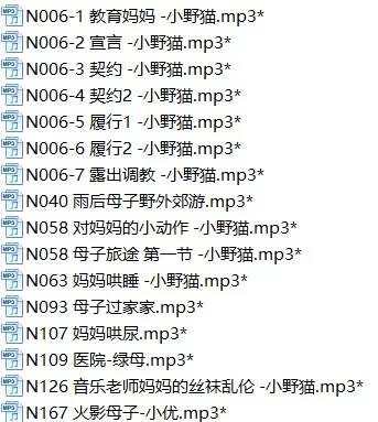 合集类 小野猫母系音声非常高的质量【30左右+3g】