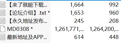 有剧情的 麻豆传媒MD-0308 前任4之英年早婚-江雨嘉、宋雨川【1v+1.18g】