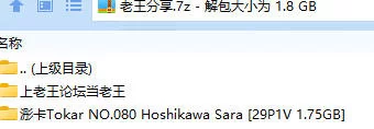 福利姬 浵卡Tokar NO.080 星川莎拉 Hoshikawa Sara【29P1V+1.75GB】
