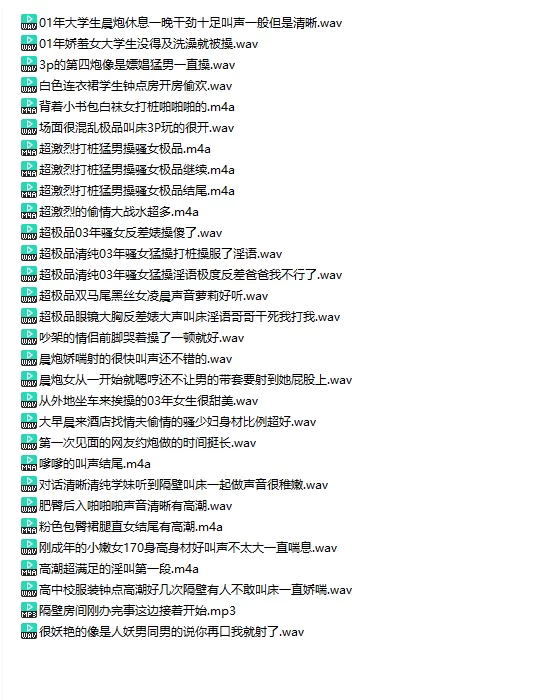 合集类 苦心收集了3年的真实录音系列第1-4弹152部性爱偷听录音音频【152MP3+5.07g】