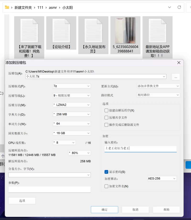 ASMR 小太阳贼大 老艺术家  深喉定制【1V+69M】