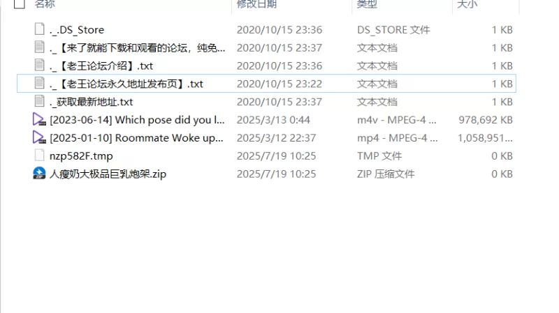高颜值 人瘦奶大极品巨乳炮架,白丝【2v+1.9g】