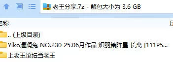 福利姬 Yiko湿润兔(咬一口兔娘) NO.230 25.06月作品 炽羽策阵星 长离【111P5V+3.56GB】