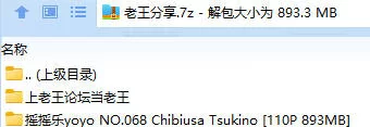 福利姬 摇摇乐yoyo NO.068 Chibiusa Tsukino【110P+893MB】
