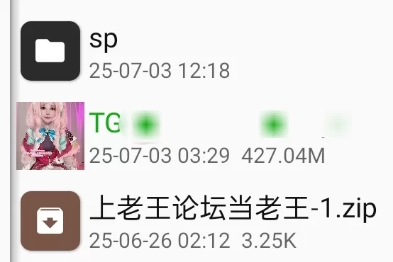 福利姬 星穹铁道 cos 风堇【1v+427mb】