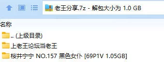 福利姬 桜井宁宁 NO.157 黑色女仆【69P1V+1.05GB】
