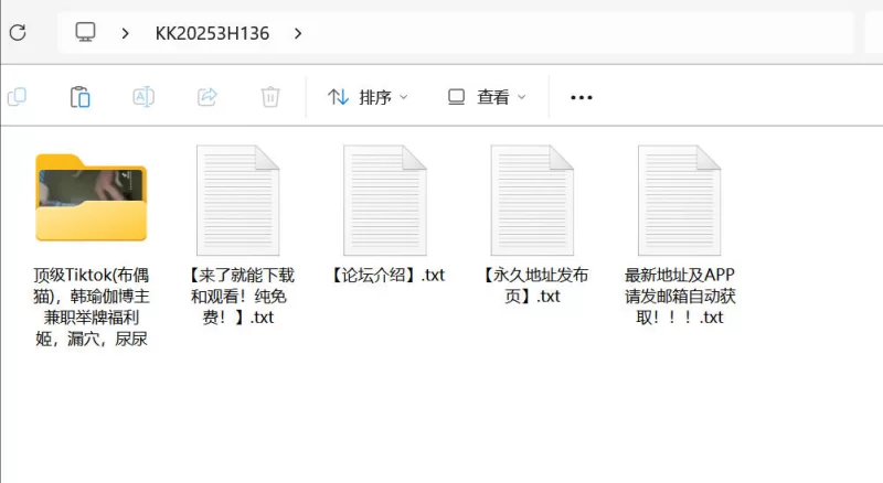 自拍 顶级Tiktok(布偶猫) 韩瑜伽博主兼职举牌福利姬各种姿势尿尿【29V+387M】