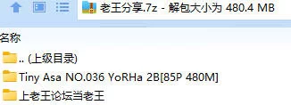 福利姬 Tiny Asa NO.036 YoRHa 2B【85P+480M】