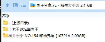 福利姬 桜井宁宁(宁宁子同学) NO.154 和袖曳尾【107P1V+2.09GB】