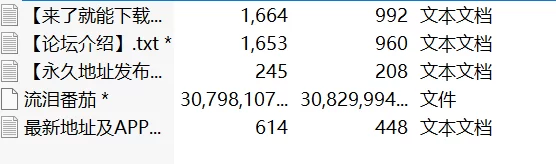 有剧情的 流泪番茄63v合集【63v+28.71g】
