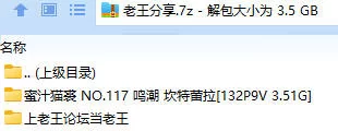 福利姬 蜜汁猫裘 NO.117 鸣潮 坎特蕾拉【132P9V+3.51G】