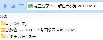 福利姬 奈汐酱nice NO.117 贴画乐园【49P+261M】