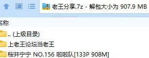 福利姬 桜井宁宁 NO.156 啦啦队【133P+908M】