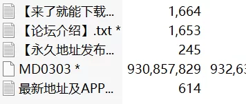 有剧情的 麻豆传媒MD-0303 孤注一掷【1v+889.43m】