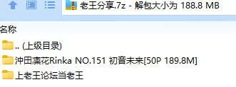 SM 沖田凜花Rinka NO.151 初音未来【50P+189.8M】