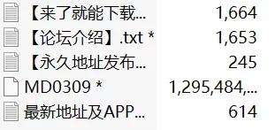 有剧情的 麻豆传媒MD-0309 在大哥家偷操大嫂-李蓉蓉【1v+1.21g】