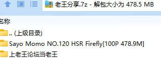 福利姬 Sayo Momo NO.120 HSR Firefly【100P+478.9M】