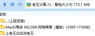 福利姬 Machi马吉 NO.008 阿格莱雅（星铁）【106P+173MB】