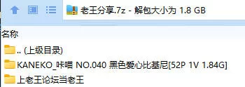 福利姬 KANEKO_咔喵 NO.040 黑色爱心比基尼【52P1V+1.84G】